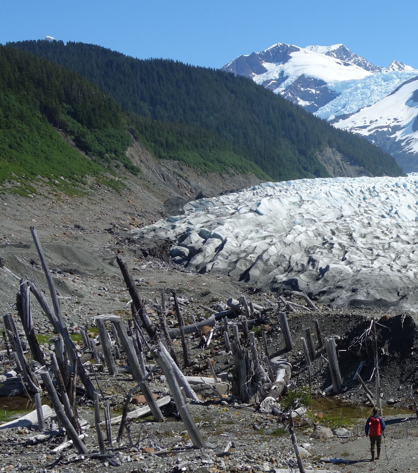 2. Ben G. at ghost forest.jpg